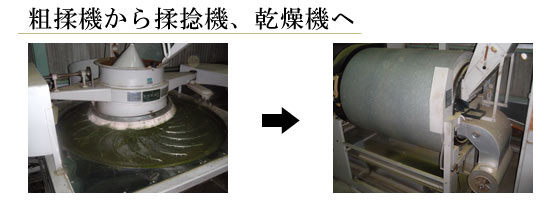 粗揉機から揉捻機、乾燥機へ