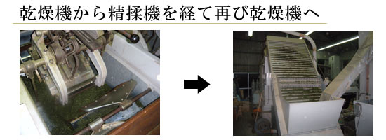 乾燥機から精揉機を経て再び乾燥機へ