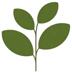 CHANOISSA 編集部のアバター