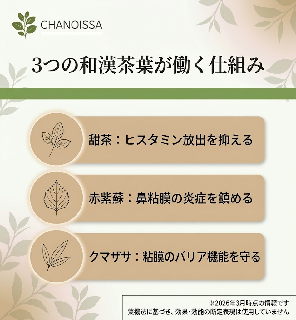 えぞ式すーすー茶の3大成分。甜茶がヒスタミン、赤紫蘇が炎症、クマザサが粘膜バリアに働く仕組みを整理。