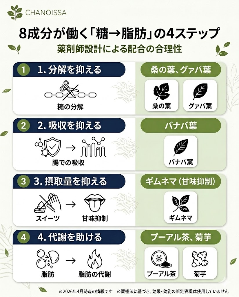 からだ楽痩茶の8成分が、糖の分解・吸収・上昇・変換の4ステップにどのように働くかを整理した図解。